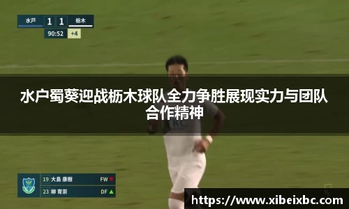 zoty中欧官方网站